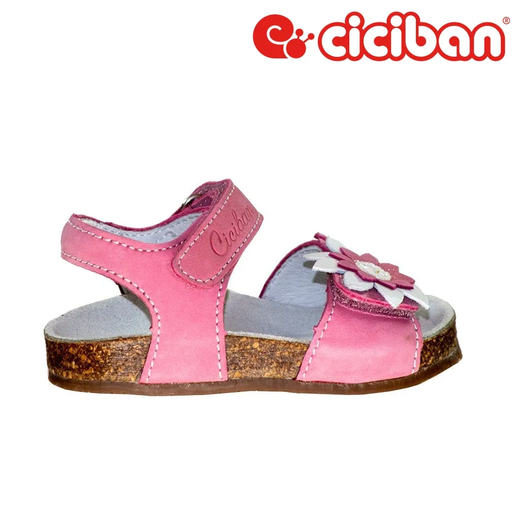Bio Rosa 272983