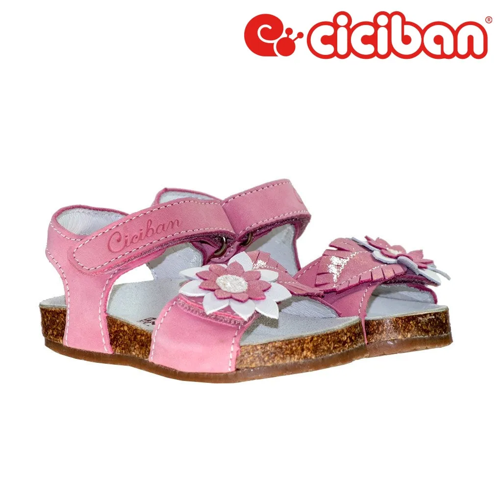Bio Rosa 272983