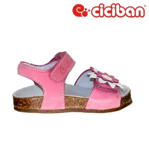 Bio Rosa 272983