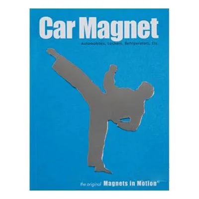 Magnet for Car (Karate Figures)