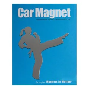 Magnet for Car (Karate Figures)