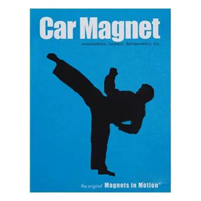 Magnet for Car (Karate Figures)