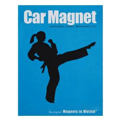 Magnet for Car (Karate Figures)