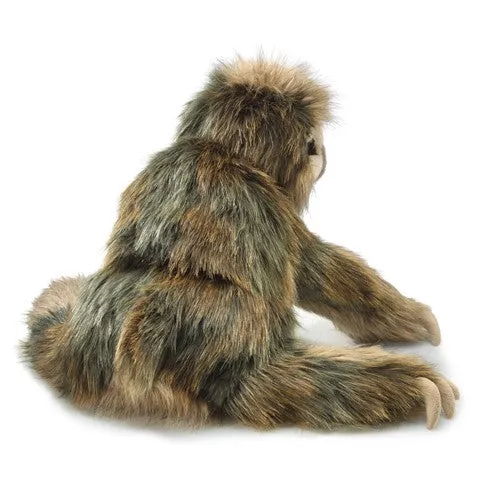 Three-Toed Sloth